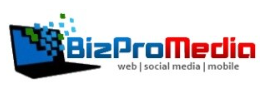 BizProMedia Web Development
